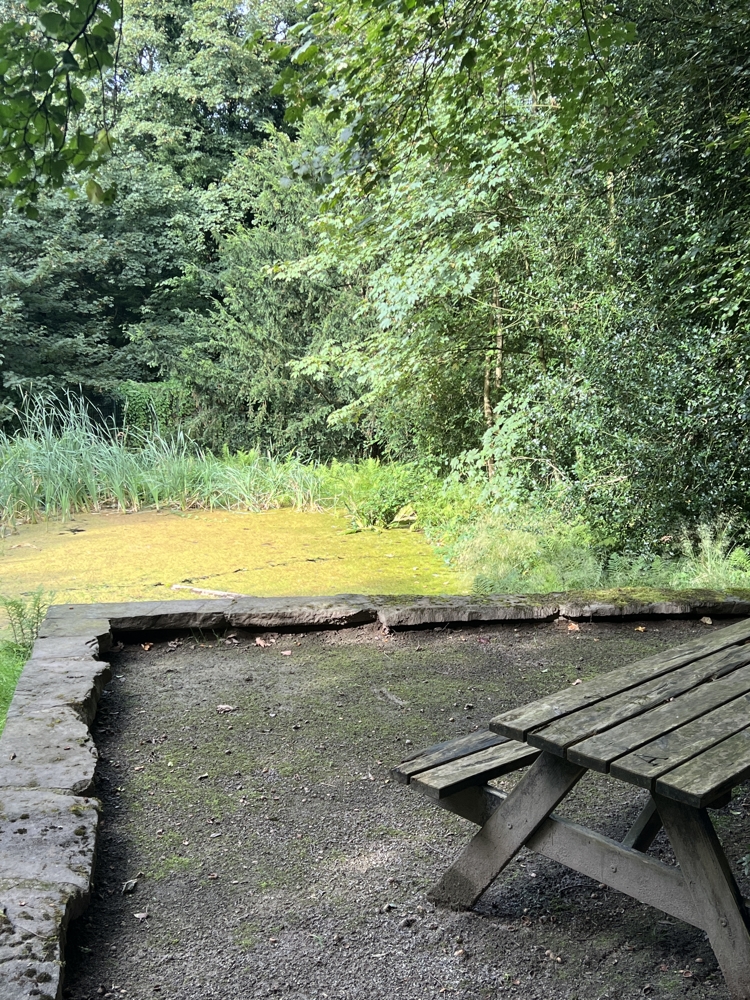Picknick am eigenen Froschteich?